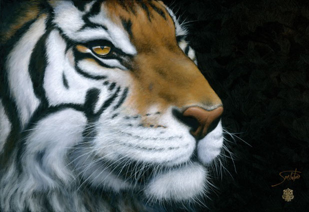 Tiger-Tiger -- M. Williams, Plano, TX