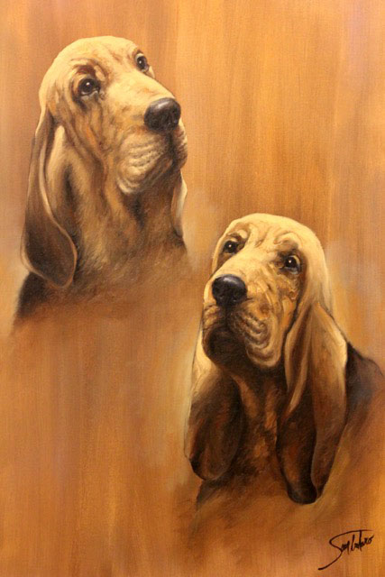 Donated to Virginia Bloodhound Search & Rescue