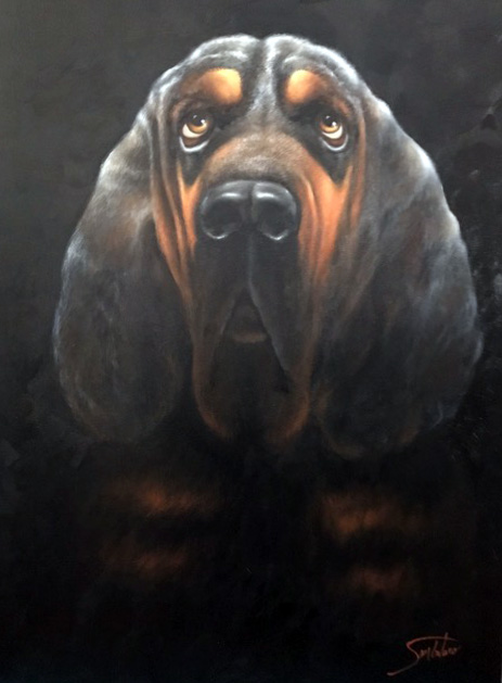 BLOODHOUND - Donated to Virginia Bloodhound Search & Rescue